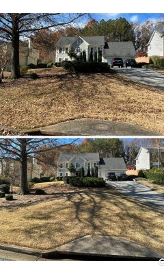 Before & After