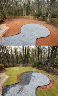 Untitled design - 1