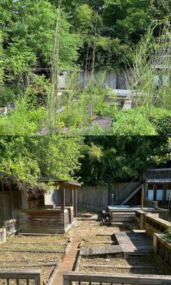 Untitled design - 1